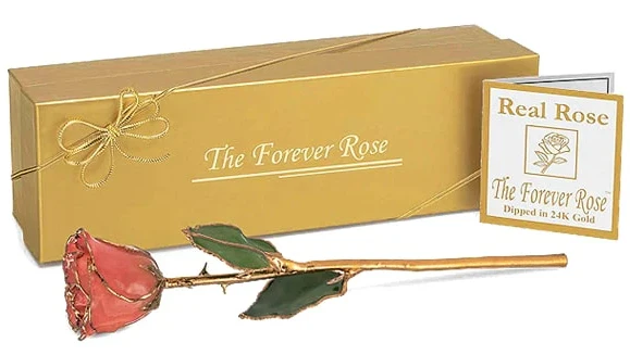 A Love That Never Fades